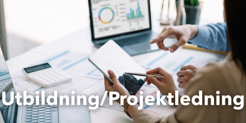 Utbildning och/eller projektledning